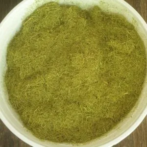 Acacia Courtii Phyllodes 500g